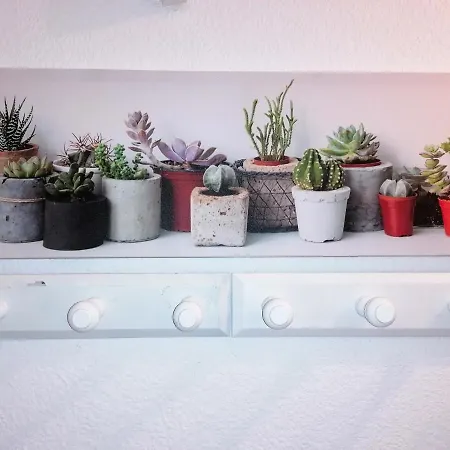 Edificio Apolo 7 Apartment Calp